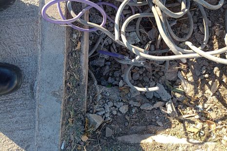 El detenido fue sorprendido infraganti tras un llamado al 911 Foto: Ministerio de Seguridad de Mendoza