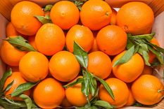La naranja es una fruta versátil que puede se consumida de varias maneras. Foto: Shutterstock