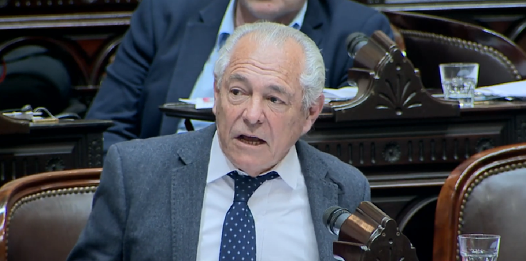 Foto: Captura de pantalla Honorable Cámara de Diputados