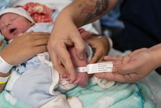 Las pulseras utilizarán tecnología para eliminar los riesgos que había en el sistema manual.