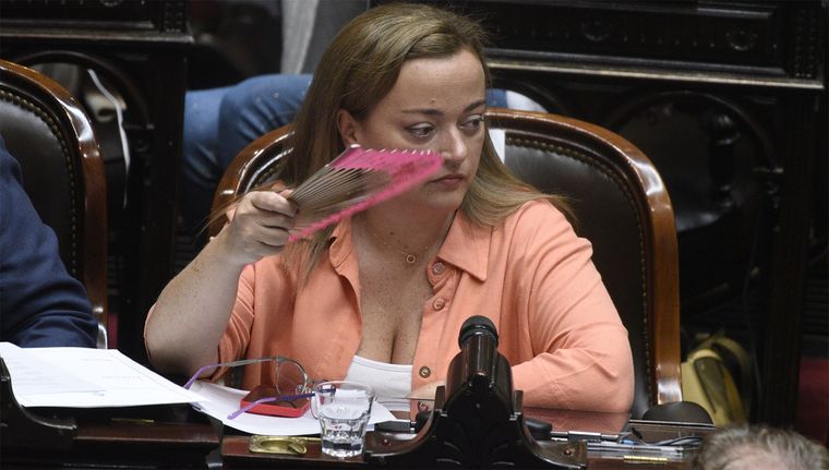 Cecilia Moreau explotó en medio de la sesión de Diputados Foto: Juan Mateo Aberastain/MDZ