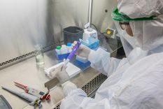 mendoza: ¿como ayuda la biologia molecular a la deteccion del covid-19? mendoza: ¿como ayuda la biologia molecular a la deteccion del covid-19?