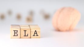 La Fundación Esteban Bullrich busca fomentar el trabajo sobre mejores condiciones de vida para los pacientes con ELA. La Fundación Esteban Bullrich busca fomentar el trabajo sobre mejores condiciones de vida para los pacientes con ELA.