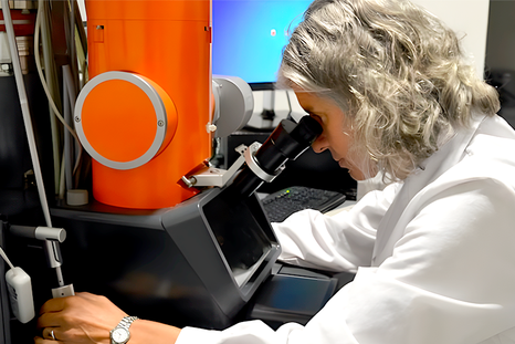 La científica mendocina investiga virus que afectan la producción animal La científica mendocina investiga virus que afectan la producción animal