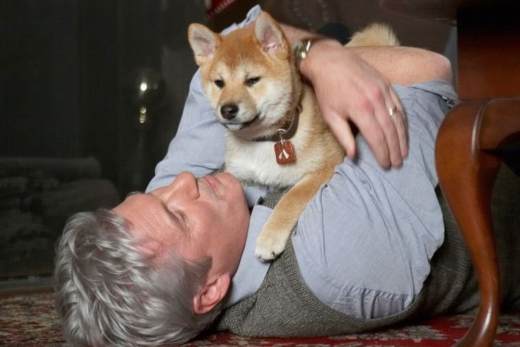 Perro Perro noble Foto: Film&Arts