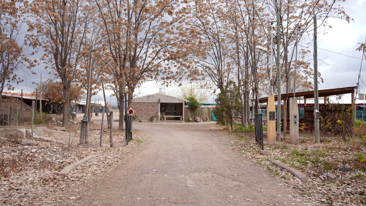 Cómo sigue el caso de la nena atropellada en Ugart