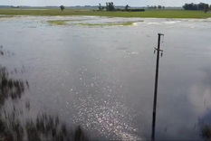 Los gobiernos provinciales deberán remitir a la Secretaría Técnica Ejecutiva de la Comisión Nacional de Emergencias y Desastres Agropecuarios el listado de productores afectados.