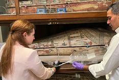 Los científicos insertaron un pequeño tubo para poder medir el olor sin tomar ninguna muestra física. Foto: AP
