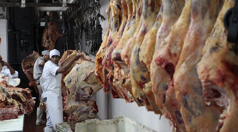 Foto: Pachy Reynoso/MDZ