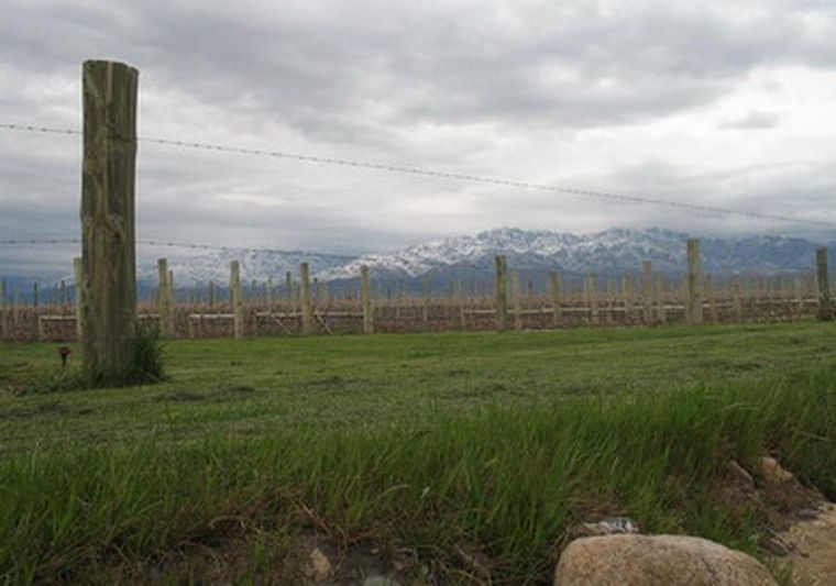 Problemas climáticos para Mendoza.