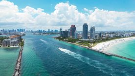 El proyecto Reefline avanza en Miami con estructuras diseñadas para atraer corales y recuperar la biodiversidad marina. El proyecto Reefline avanza en Miami con estructuras diseñadas para atraer corales y recuperar la biodiversidad marina.