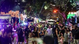 La Vía Blanca se realizará en la noche del viernes. La Vía Blanca se realizará en la noche del viernes.