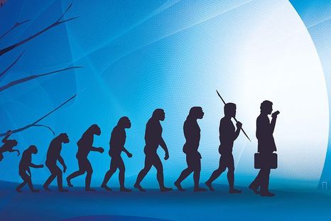 Nuestros cuerpos son un archivo viviente de la evolución. Nuestros cuerpos son un archivo viviente de la evolución.