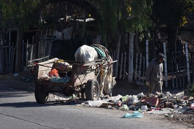 MDZol | Foto: ALF PONCE MERCADO / MDZ