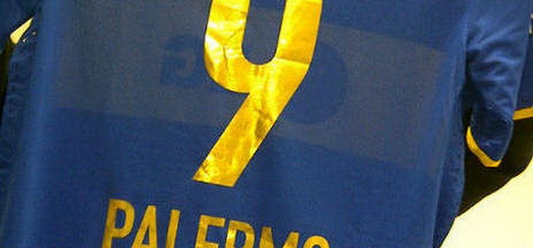 312955.jpg