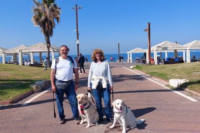 MDZol | 1377440.jpeg