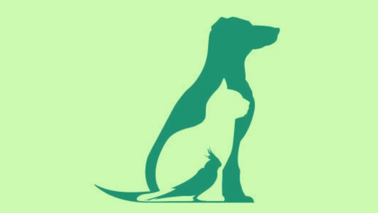 Test de personalidad