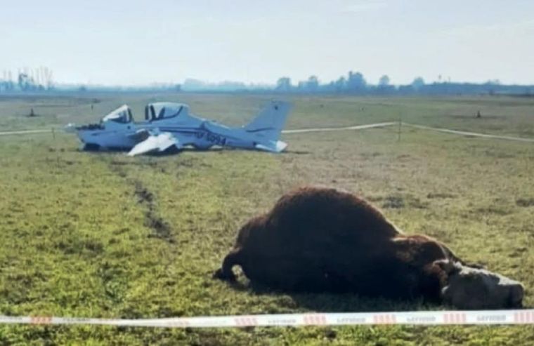 Una avioneta chocó con un toro el Aero Club de Chivilcoy, en la provincia de Buenos Aires.&nbsp;
