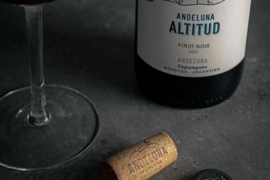 MDZol | Pinot Noir de montaña