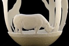 un elefante, un rinoceronte y una jirafa, en una cascara de huevo