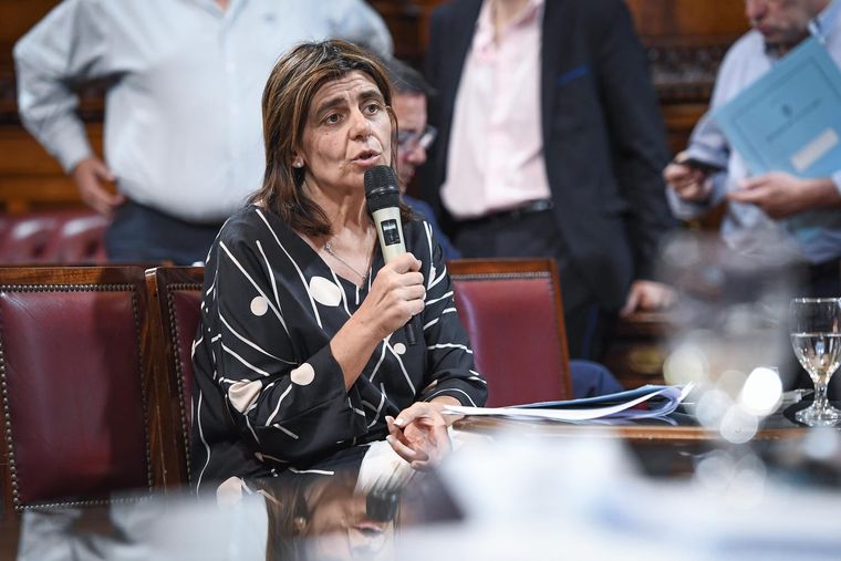 La senadora Mariana Juri Foto: Prensa Mariana Juri