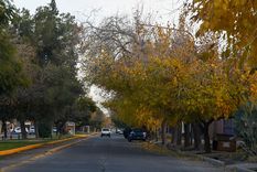 Se esperan días agradables en la provincia. Foto: Santiago Tagua/MDZ