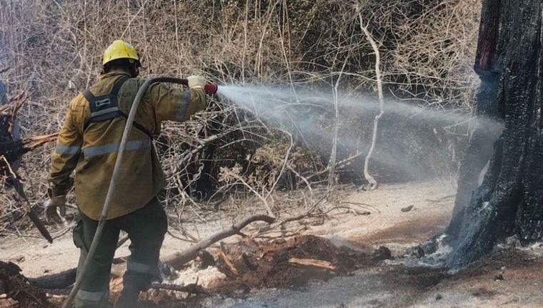 Foto: Gobierno de Rio Negro