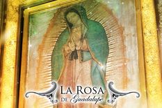 Rating La Rosa de Guadalupe