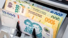 El dato que sorprende. El dato que sorprende.