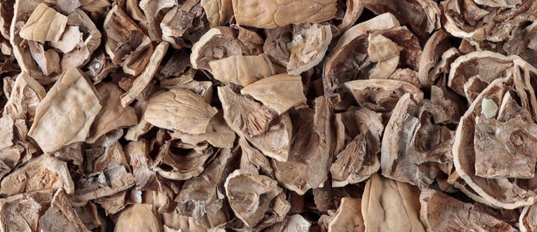 La cáscara de nuez aporta fósforo, potasio y nitrogeno a tu sustrato Foto: Shutterstock