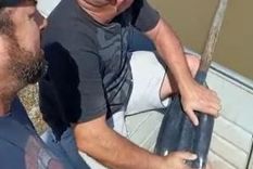 Amigos Los camioneros decidieron darle una mano al animalito.