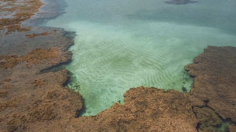 Las piscinas natural que son ideales para nadar. Las piscinas natural que son ideales para nadar. 