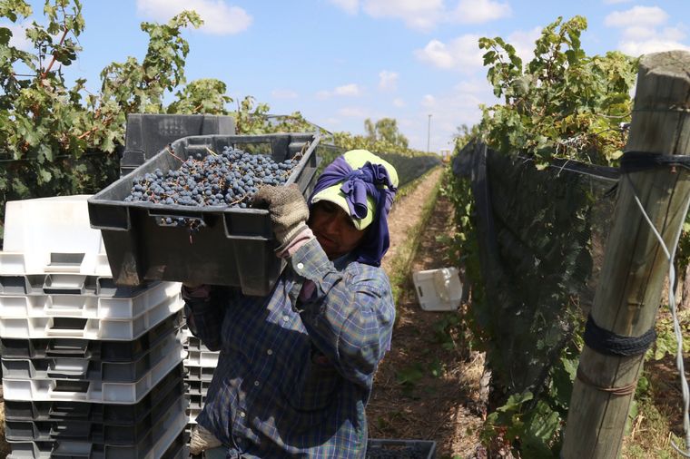 “No son créditos, son aportes no reembolsables”, explicó Hinojosa Foto: Maximiliano Ríos/MDZ