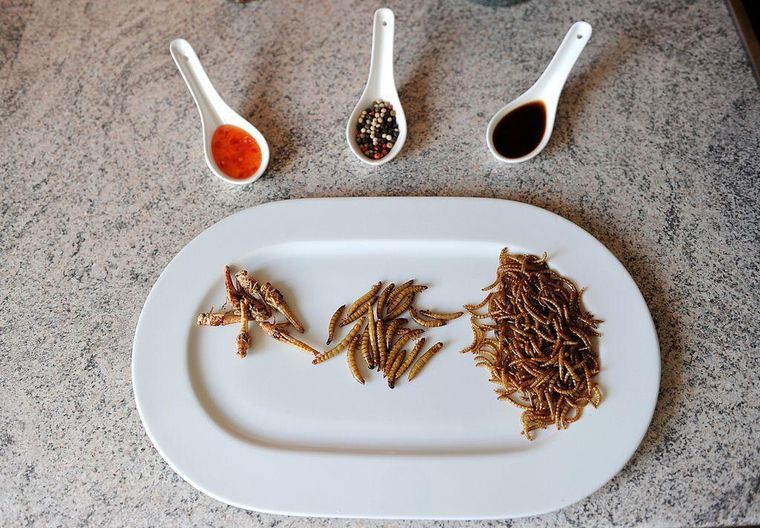 La FAO publicó un libro en 2014 donde hablaba de los insectos como opción alimentaria.