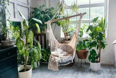 Consejos prácticos para crear un jardín interno exuberante en el hogar Un jardín interior añade un toque estético a tu hogar. Foto: Freepik