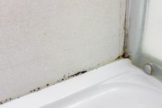 Adiós al moho en el baño. Fuente: Shuttterstock.