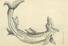 El libro era fiel a la Revolución Científica, la cual sentó las bases de la Ilustración al enfatizar la razón, la observación empírica y el método científico.