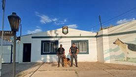 El perro Randall fue protagonista del procedimiento tras el robo en una peluquería. El perro Randall fue protagonista del procedimiento tras el robo en una peluquería.