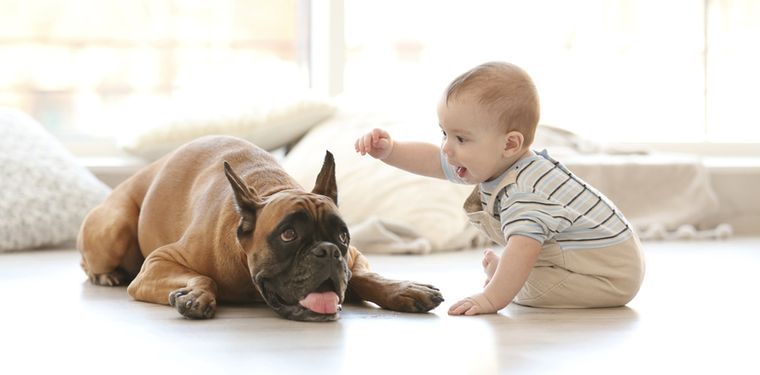 Crecer con mascotas en casa ayuda a los niños a sentirse más seguros y protegidos. Foto: Shutterstock