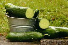 ¿Cómo aprovechar al máximo la cáscara del pepino? Acá te lo contamos Foto: Pixabay