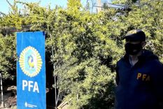 detuvieron a un ex policia con un vivero de marihuana