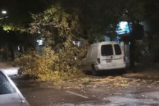 Fuerte tormenta en todo Mendoza Foto: Gentileza