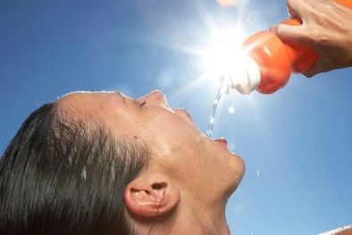 MDZol | No debemos descuidar la alimentación ya que el verano se vino con todo y con él las “no tan deseadas” “olas de calor”. Foto: MDZ