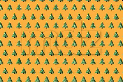 MDZol | 13-MDZ-acertijos-noviembre-pino