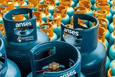 Los requisitos para cobrar la ayuda del Programa Hogar de ANSES en 2026 Foto: Archivo