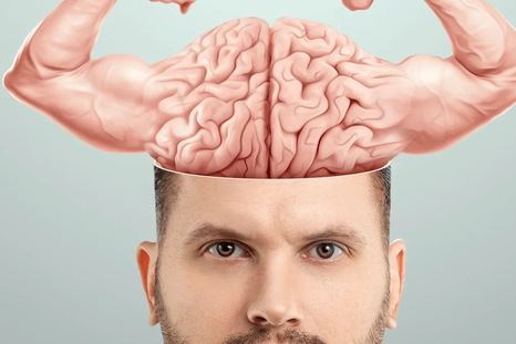 El cerebro es el órgano que coordina cada una de las funciones de nuestro cuerpo: el movimiento, la memoria, el lenguaje, las emociones y el pensamiento. El cerebro es el órgano que coordina cada una de las funciones de nuestro cuerpo: el movimiento, la memoria, el lenguaje, las emociones y el pensamiento.