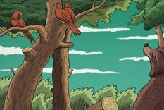 ACERTIJO VISUAL ACERTIJO VISUAL, RETO VISUAL, ANIMAL Foto: ARCHIVO