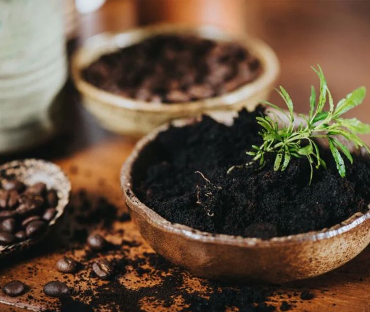 Mejora la calidad del suelo y protege las plantas de manera natural.  Foto: guadarrama.coffee