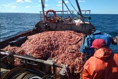 El conflicto por la zafra de los langostinos sumó nuevos episodios de alta tensión. Foto: NA
