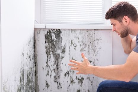 Este método es seguro y ecológico. Foto: Archivo